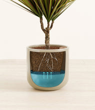Charger l'image dans la galerie, Sage Green