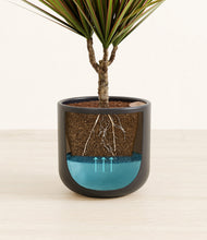 Charger l'image dans la galerie, Stone Black