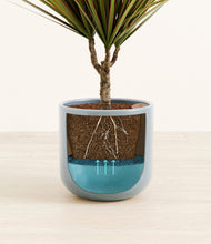 Charger l'image dans la galerie, Misty Blue