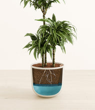 Load image into Gallery viewer, Natural Bamboo