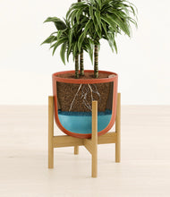 Load image into Gallery viewer, Earth Red stand:bamboo