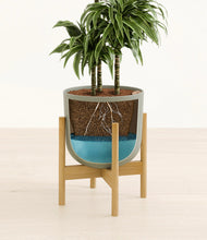 Load image into Gallery viewer, Sage Green stand:bamboo