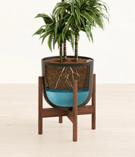 Load image into Gallery viewer, Stone Black stand:walnut