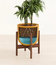 Load image into Gallery viewer, Sunset Orange stand:walnut