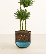 Load image into Gallery viewer, Stone Black