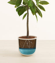 Lade das Bild in den Galerie-Viewer, Natural Bamboo