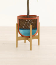 Lade das Bild in den Galerie-Viewer, Earth Red stand:bamboo