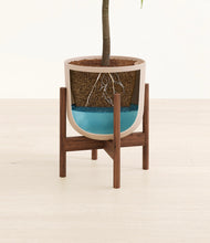Lade das Bild in den Galerie-Viewer, Sandy Pink stand:walnut