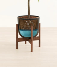 Lade das Bild in den Galerie-Viewer, Stone Black stand:walnut