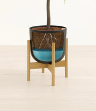Lade das Bild in den Galerie-Viewer, Stone Black stand:bamboo