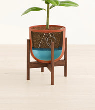 Load image into Gallery viewer, Earth Red stand:walnut