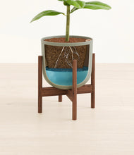 Load image into Gallery viewer, Sage Green stand:walnut