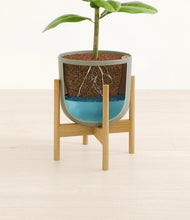 Load image into Gallery viewer, Sage Green stand:bamboo