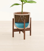 Load image into Gallery viewer, Sandy Pink stand:walnut