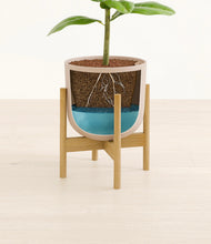 Load image into Gallery viewer, Sandy Pink stand:bamboo