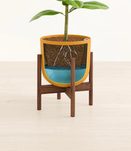 Load image into Gallery viewer, Sunset Orange stand:walnut