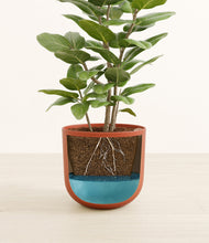 Load image into Gallery viewer, -