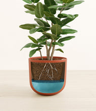 Load image into Gallery viewer, Earth Red