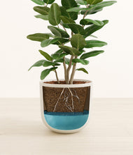 Load image into Gallery viewer, Natural Bamboo