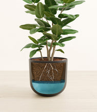 Load image into Gallery viewer, Stone Black