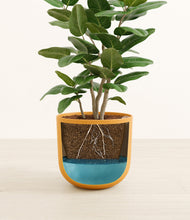 Load image into Gallery viewer, Sunset Orange