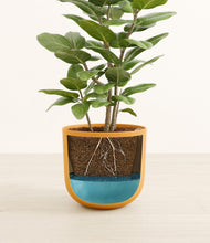 Load image into Gallery viewer, -