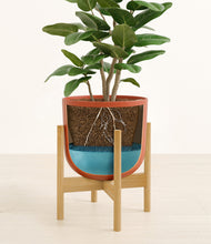 Load image into Gallery viewer, Earth Red stand:bamboo