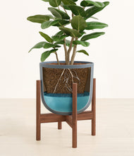 Load image into Gallery viewer, Iron Gray stand:walnut