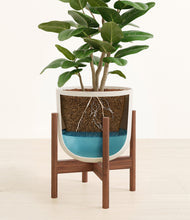 Load image into Gallery viewer, Natural Bamboo stand:walnut