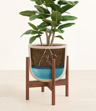 Load image into Gallery viewer, Sandy Pink stand:walnut