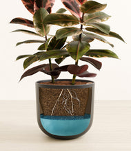 Load image into Gallery viewer, Stone Black