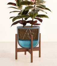 Load image into Gallery viewer, Iron Gray stand:walnut