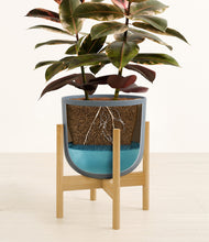 Load image into Gallery viewer, Iron Gray stand:bamboo