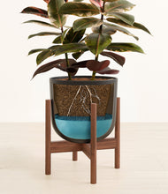 Load image into Gallery viewer, Stone Black stand:walnut