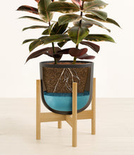 Load image into Gallery viewer, Stone Black stand:bamboo