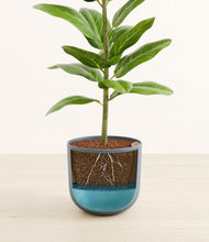 Load image into Gallery viewer, Iron Gray