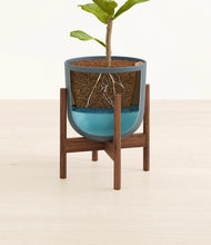 Load image into Gallery viewer, Iron Gray stand:walnut