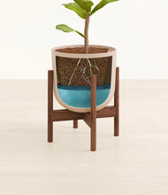 Load image into Gallery viewer, Sandy Pink stand:walnut