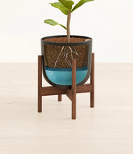 Load image into Gallery viewer, Stone Black stand:walnut