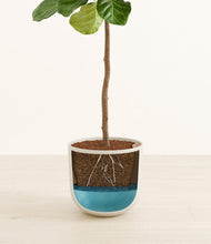 Load image into Gallery viewer, Natural Bamboo