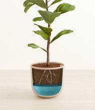 Load image into Gallery viewer, Sandy Pink