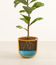 Load image into Gallery viewer, Sunset Orange