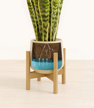 Load image into Gallery viewer, Almond Green stand:bamboo