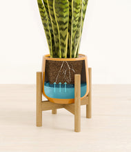 Load image into Gallery viewer, Mustard stand:bamboo