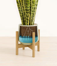 Load image into Gallery viewer, Turquoise stand:bamboo