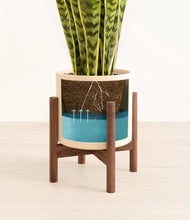 Load image into Gallery viewer, Cream stand:walnut