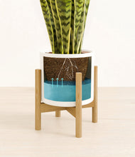 Load image into Gallery viewer, White stand:bamboo