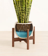 Load image into Gallery viewer, Shiny EggWhite stand:walnut