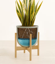 Load image into Gallery viewer, Sage Green stand:bamboo