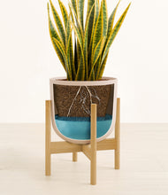 Load image into Gallery viewer, Sandy Pink stand:bamboo